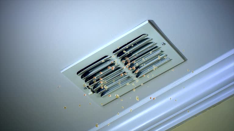Best Air Duct Cleaning Cost  in Seal Beach, CA