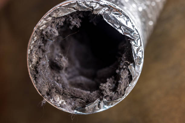 Best Ductwork Cleaning Services  in Seal Beach, CA