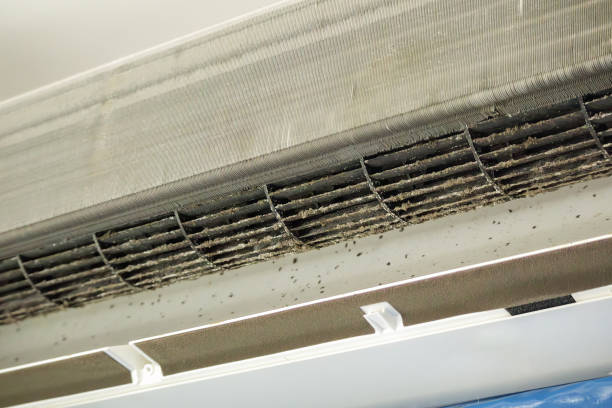 Air Duct Mold Removal in Seal Beach, CA